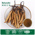 cordyceps sinensis extracts 7% Cordyceptic acid to Lower Cholesterol